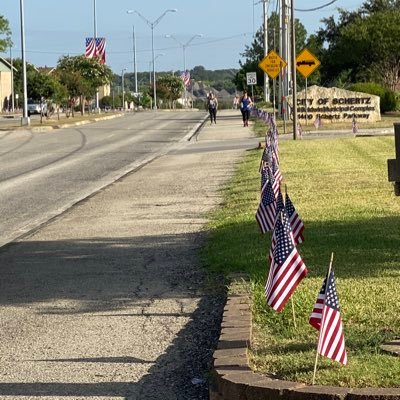 Profile Picture of David Birnbaum (@BirnbaumD1) on Twitter