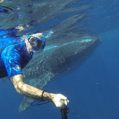 Profile Picture of Gary Cipinko (@gcipinko) on Twitter