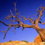 Profile Picture of Hashim (@robert.47061) on Instagram