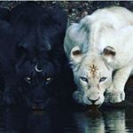 Kevin Rodrigo - Instagram Profile Picture of Kevin Rodrigo (@kevin_nadal0821) on Instagram