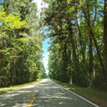 Profile Picture of chris aikens (@heychrisaikens) on Instagram