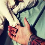 Profile Picture of Jérémy Richard (@wulfen_lycanth) on Instagram