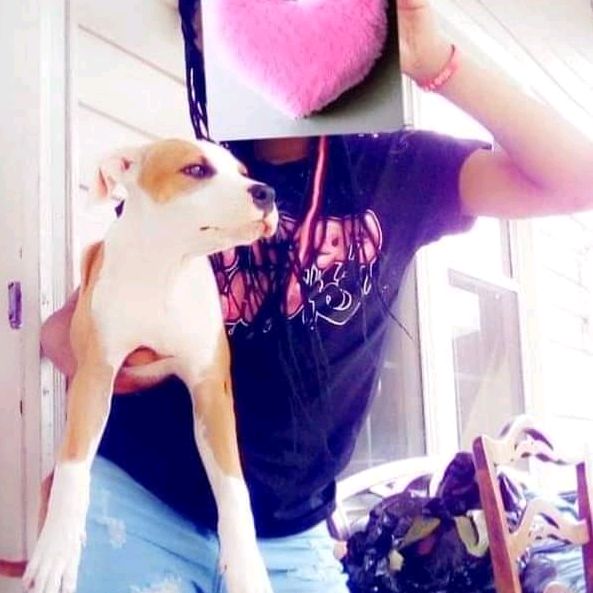 Profile Picture of waylon_world (@waylon_world) on Tiktok