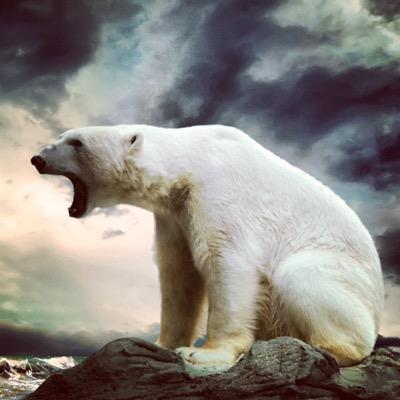 Profile Picture of Nicholas R. Barrow (@OldFindNewOne) on Twitter