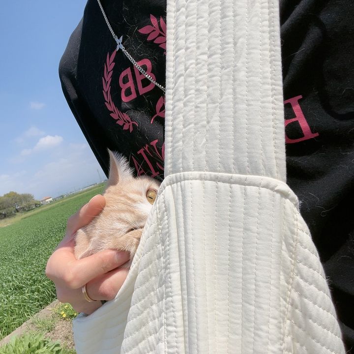 daniellok - Tiktok Profile Picture of daniellok (@daniellok9611) on Tiktok