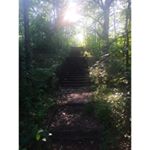 shaun hoover - Instagram Profile Picture of shaun hoover (@shaunhoover549) on Instagram