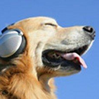 Profile Picture of Jesse Traynor (@dogvsgod) on Twitter