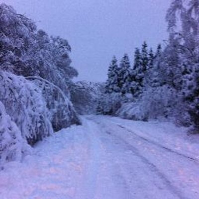 Profile Picture of David Croft (@CroftBearhill) on Twitter