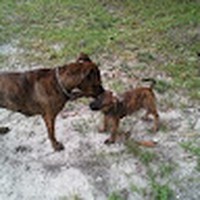 Profile Picture of Robin Loring (@robin-loring-3) on Quora