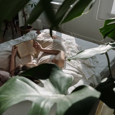 Profile Picture of Allan Tyler (@Allanevrvs) on Twitter