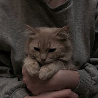 Profile Picture of Deliu || Directioner (@onlyxangelxx) on Twitter