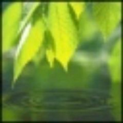 Jeremy Sherrer - Twitter Profile Picture of Jeremy Sherrer (@genhandlesb81) on Twitter