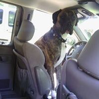 Profile Picture of Steven Whittemore (@stevenwhittemore) on Pinterest