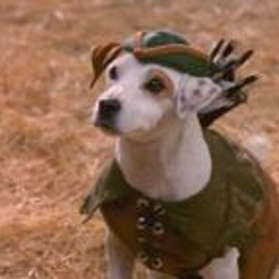 Joshua Fike - Twitter Profile Picture of Joshua Fike (@Skippy2001) on Twitter