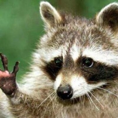 Profile Picture of Marcel Ramalho (@CeLxD) on Twitter