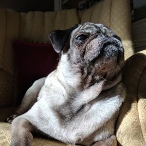 Profile Picture of Leah-Kathryn Gillett (@leahkgillett) on Twitter