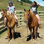 codi webb - Instagram Profile Picture of codi webb (@codi.webb1414) on Instagram