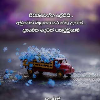 Profile Picture of perera_hishani (@perera_hishani) on Instagram