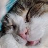 Profile Picture of Beverly Ritter343 (@@bsrboom) on Tiktok
