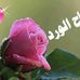 Profile Picture of Mariem Kader (@mariem.kader.14) on Facebook