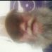 Profile Picture of Philip Capasso Jr. (@Philip-Capasso-Jr) on Facebook