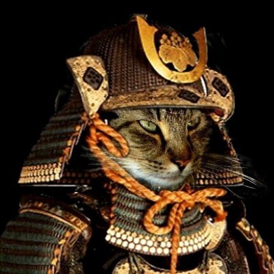 Profile Picture of Noel Stephens (@N_S_Stephens) on Twitter