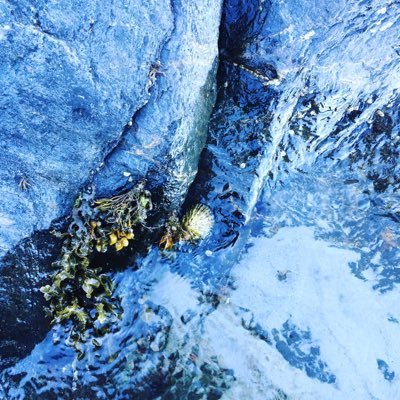 Profile Picture of Neil Hatfield (@nel00011) on Twitter