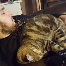 Profile Picture of Daniel Eicher (@DanielEicher3) on Twitter