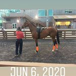 Profile Picture of Kevin Delahoussaye (@riskyforest55) on Instagram