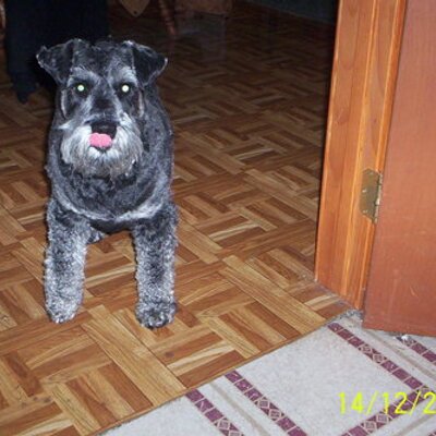 Profile Picture of Lon Williams (@niteflyer1) on Twitter