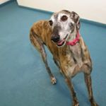 Profile Picture of Janet Frostick (@janetfrostick1246) on Instagram