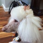 Profile Picture of Dawn Colburn (@dawn_colburn) on Instagram