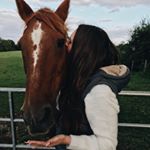 Profile Picture of Megan Cook (@stillonmyhighhorse) on Instagram