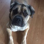 Profile Picture of Patricia Garside (@patriciagarside) on Instagram