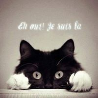 Profile Picture of Gaby Wagner (@gabriellewa0336) on Pinterest