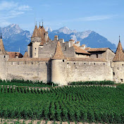 Profile Picture of Robert Levy (@robertlevy4617) on Youtube