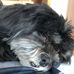 Profile Picture of Sammy Bertling (@sammy.bertling.5) on Facebook