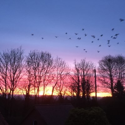 Profile Picture of Sonia Lloyd (@lloyd_sonia) on Twitter