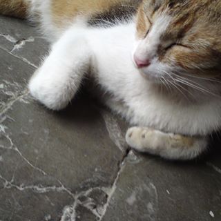 Profile Picture of Eugene Ehrlich (@eugene.ehrlich.3) on Facebook