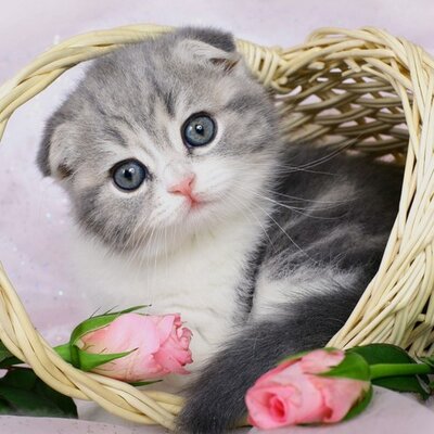Profile Picture of Floyd Jamison (@floydjamison1) on Twitter
