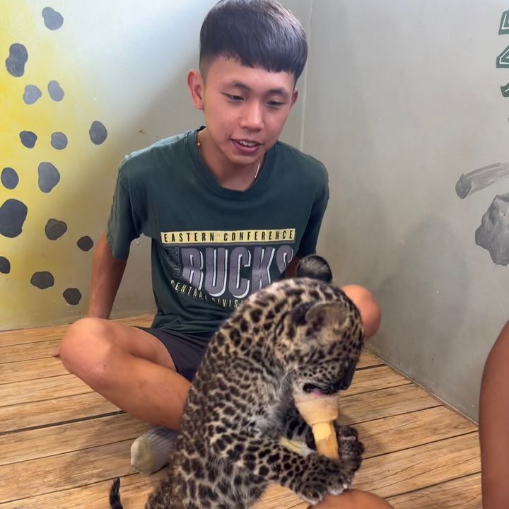 Profile Picture of Deckard (@deckardtdh) on Tiktok