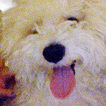 Profile Picture of Toby Lopez (@toby__bryant) on Instagram