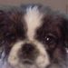 Profile Picture of Joyce Black Mccabe (@normajean123) on Pinterest