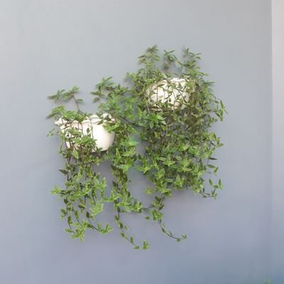 Profile Picture of Rajinderpal Singh Ranouta (@RanoutaSingh) on Twitter