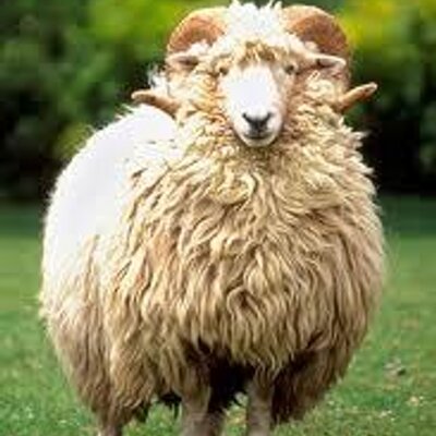 Profile Picture of Jeffrey Uy (@jeffrey_uy) on Twitter