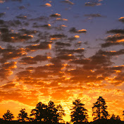 Profile Picture of Riebesell Productions (@riebesellproductions2846) on Youtube