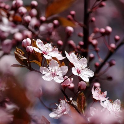 Profile Picture of Julia Naranjo (@july89ng) on Twitter