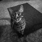 Profile Picture of Kevin Hubbard (@kevinhubbard256) on Facebook