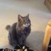 Profile Picture of Sandra Hammock (@sandra.hammock.71) on Facebook