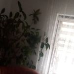 Profile Picture of Brăilean Damaris (@braileand) on Instagram